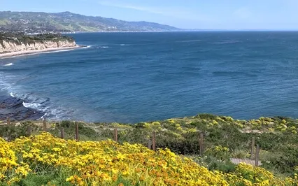 Guided Meditation For Healing