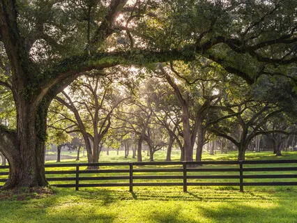 Guided Meditation For Health