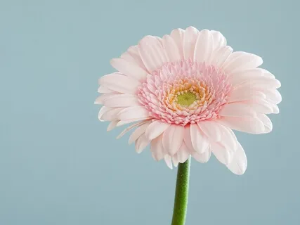 Guided Meditation For Highly Sensitive People | Step Into Your Power