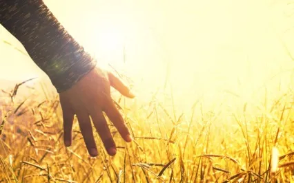 Guided Meditation For Inner Peace And Calm