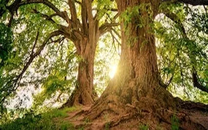 Guided Meditation For Inner Peace -Voice, Synth, River Sounds