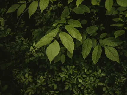 Guided Meditation For Insomnia