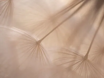 Guided Meditation For Intention Setting