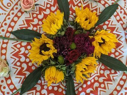 Guided Meditation For Intention Setting