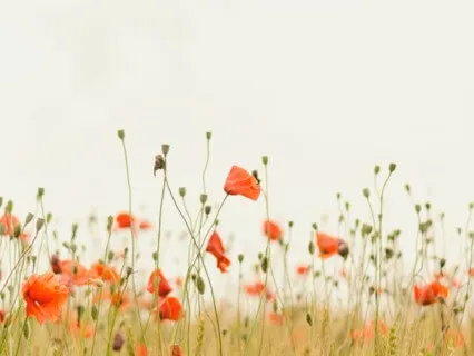 Guided Meditation For Less Stress And More Gratitude