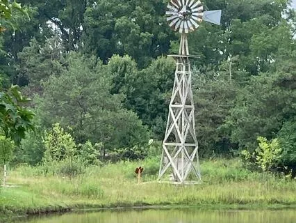 Guided Meditation For Letting Go Of The Past