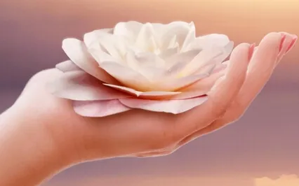 Guided Meditation For Manifestation - Attract Anything!