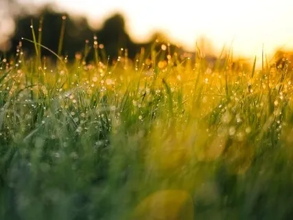 Guided Meditation For Mornings