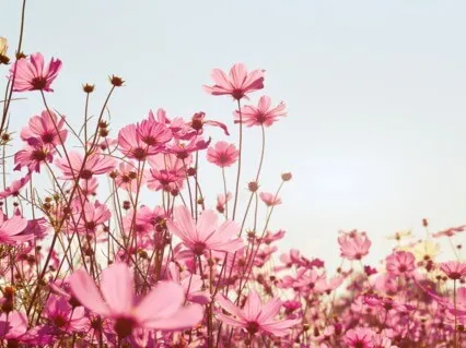 Guided Meditation For Overcoming Anxiety