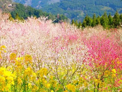 Guided Meditation For Overcoming Mom Guilt And Shame