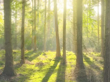 Guided Meditation For Perseverance - I Can Do This 