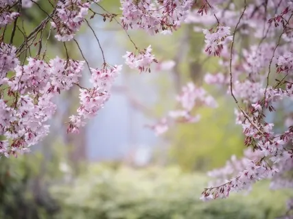 Loving Kindness For Practicing Self-Love And Love For Others