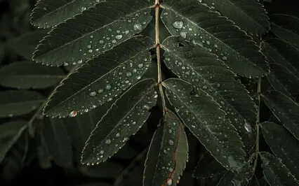 Guided Meditation For Relaxation