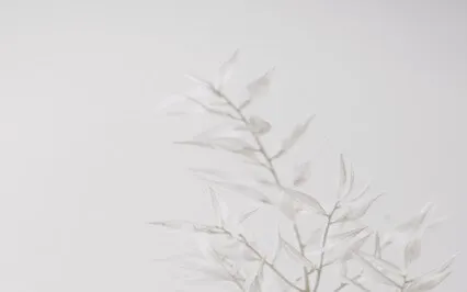 Guided Meditation For Relaxation