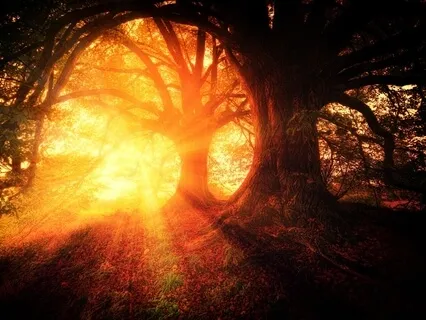 Guided Meditation for Relaxation & Affirmation