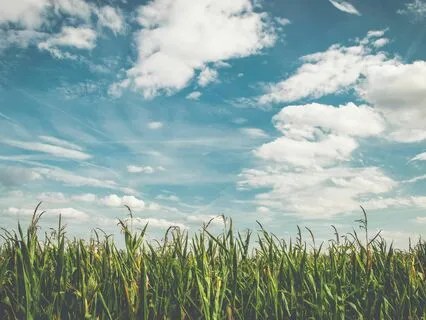 Meditation For Releasing Stress, Worries, And Anxiety