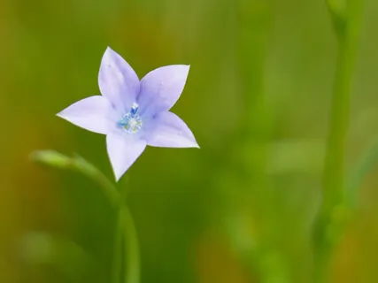 Guided Practice For Releasing Worry And Stress