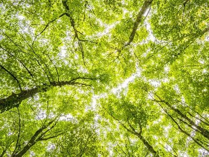 Guided Meditation For Sadness