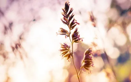 Guided Meditation For Self Acceptance 