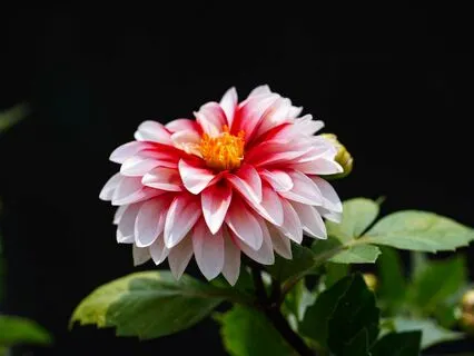 Guided Meditation for Self-Awareness