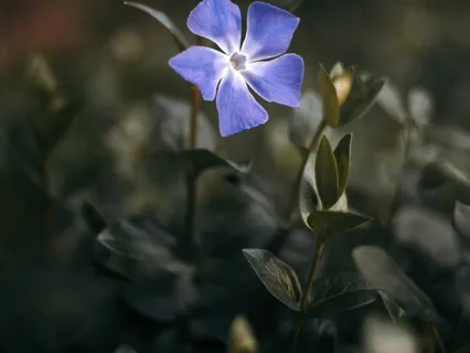 Guided Meditation For Self Care & Breathwork