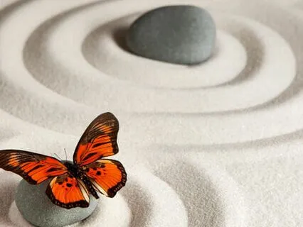 Meditation For Self-Compassion, Gratitude, Resilience