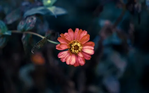 Guided Meditation For Self-Love