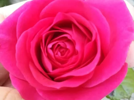 Guided Meditation For Self Love And Self Care 