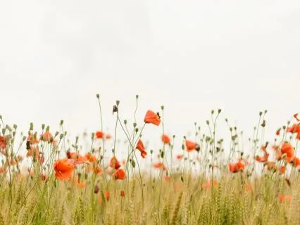Guided Meditation For Self-Love & Confidence