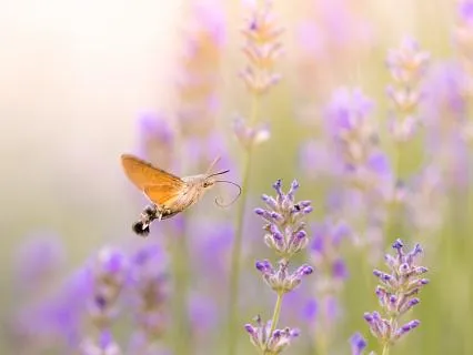 Self-Love, Healing, And Empowerment