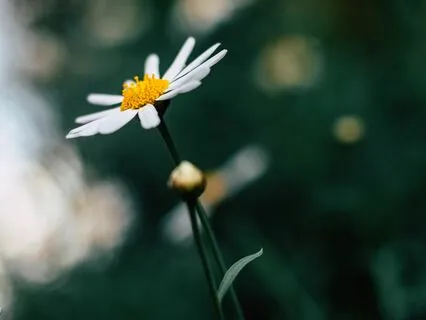 I Am Enough, Guided Meditation For Self-Confidence