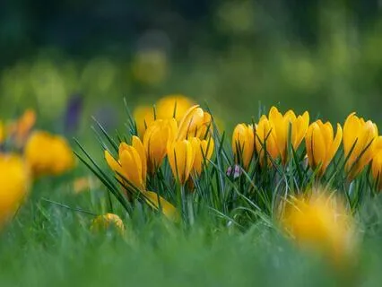 Meditation For Setting Boundaries