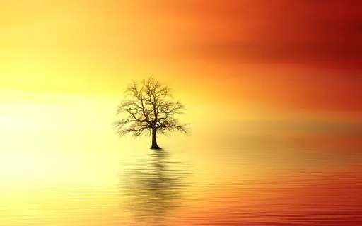 Guided Meditation For Sleep 