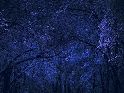 Guided Sleep Meditation: Field Of Dreams 