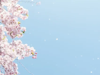 Guided Meditation For Spring - Honoring Metamorphosis