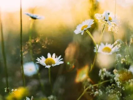 Simple Stress Relief