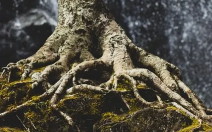 Guided Meditation For Support