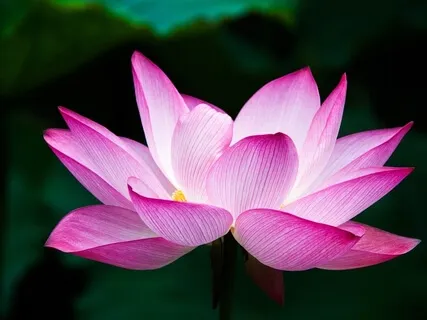 Taking Care Of Yourself And Cultivating Self-Love | Robert Aceves