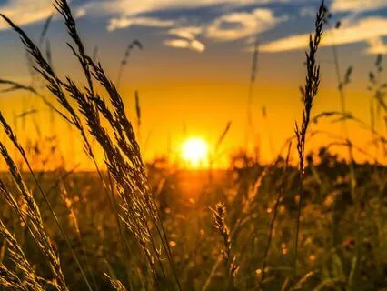 Guided Meditation For Thankfulness And Gratitude