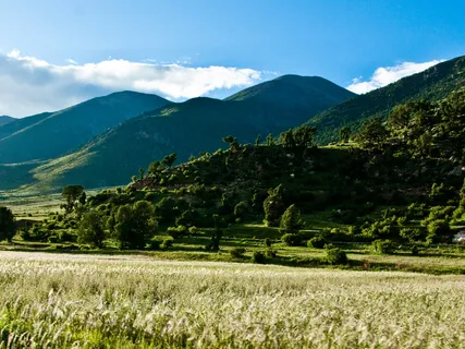 Guided Meditation For The COVID-19 Vaccine