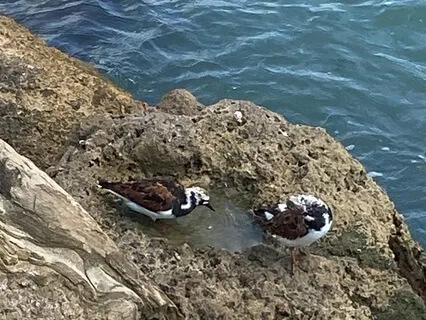 Guided Meditation For Thought Reframing