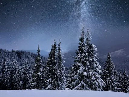 Guided Practice For Total Body & Mind Relaxation 