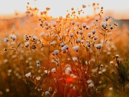 Guided Meditation For Turning Challenges Into Opportunities