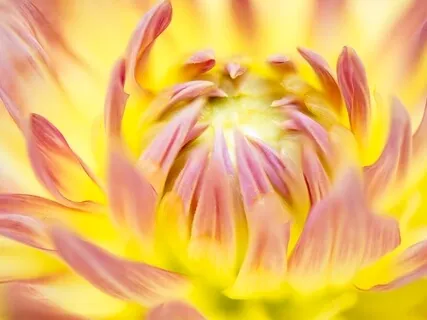 Grounding & Root Chakra Activation