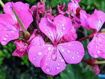 Heal-ing With Joy And Happiness