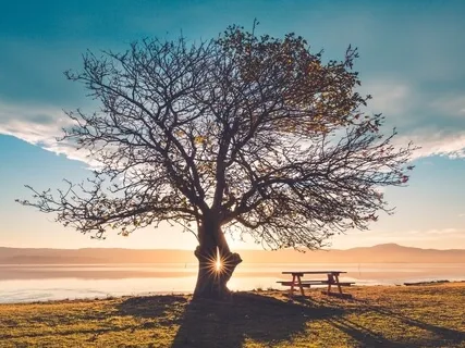 Calm The Mind Through Grounding