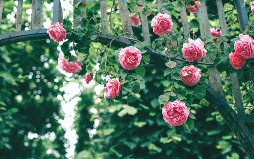 Guided Meditation: In The Stillness