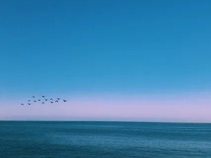 Guided Meditation (Includes 3 Minutes Of Silence)