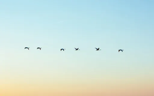 Guided Meditation (Includes 8 Minutes Of Silence)