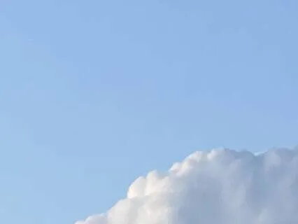 Meditation Into Stillness